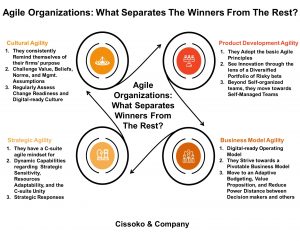 building agile organizations what separates the winners from the rest agile organizations