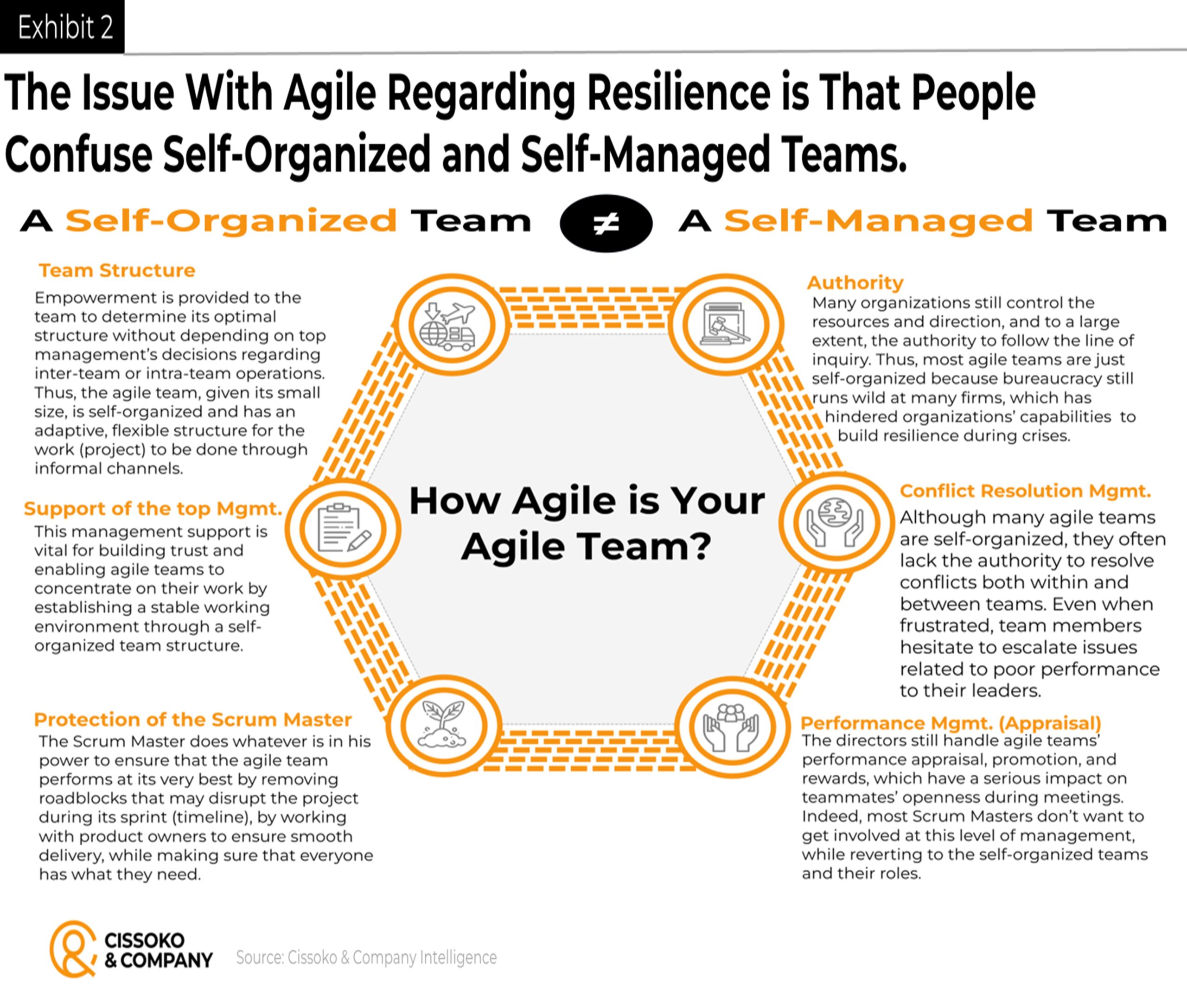 Managing agile organizations| the problem with agile teams