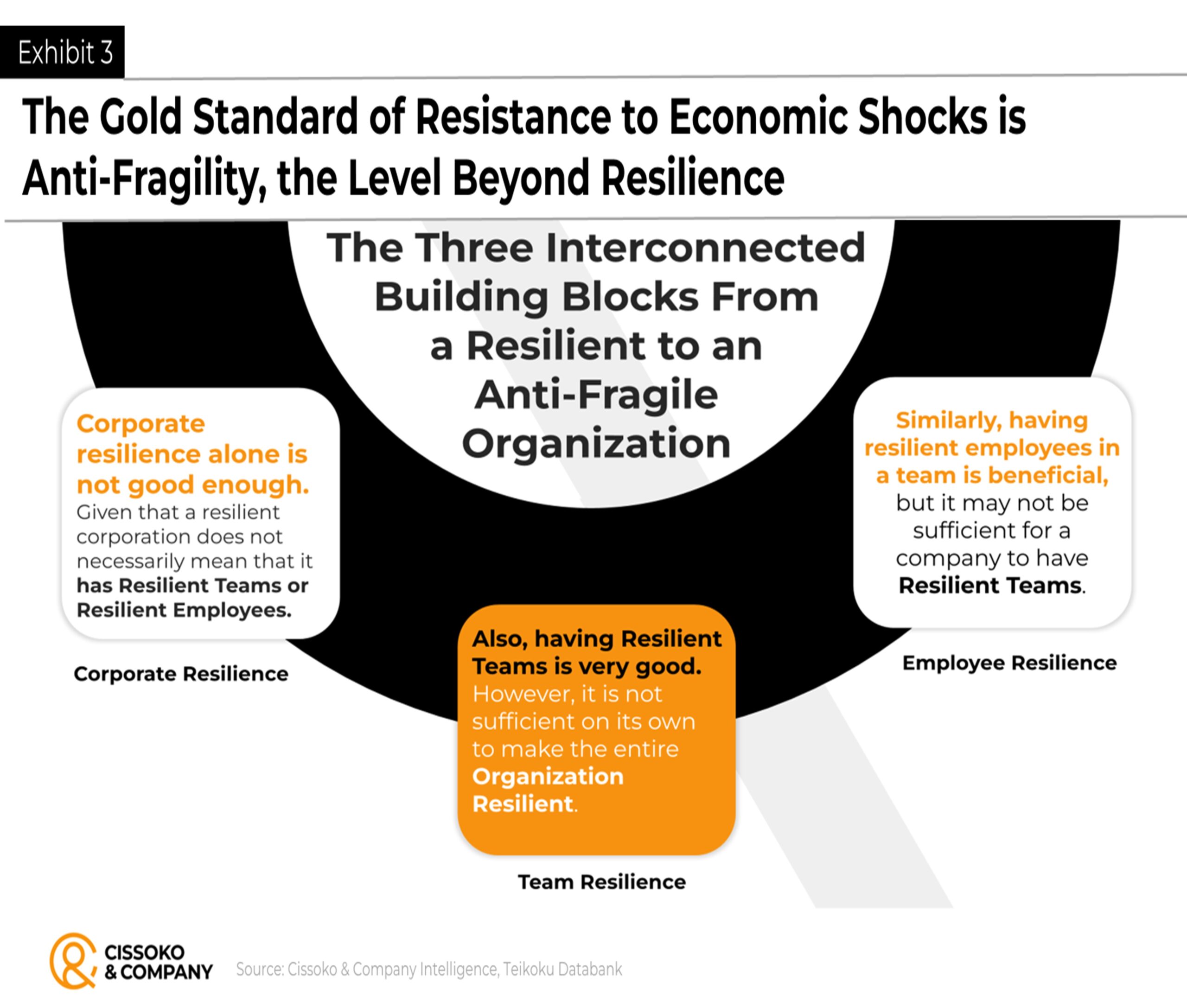 Corporate resilience| Building team resilience| Building and developing employee resilience