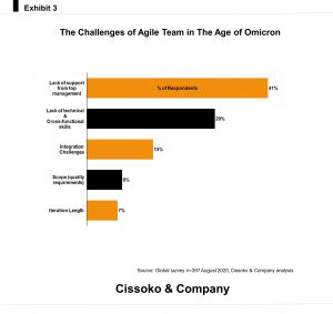 agile team agile management challenges problems with agile agile project development